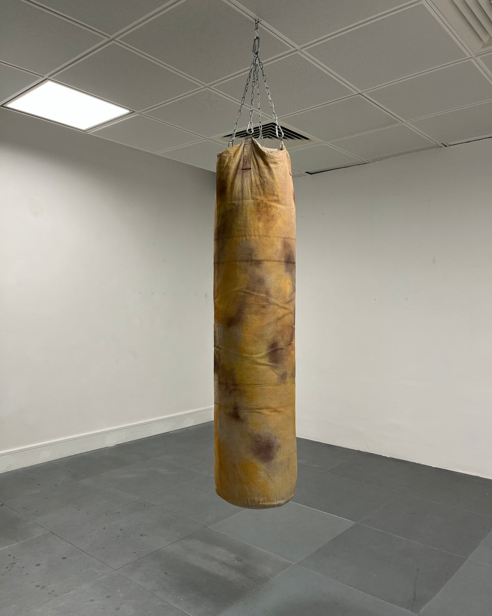 Leon Scott-Engel - Bruised Ego – Delphian Gallery